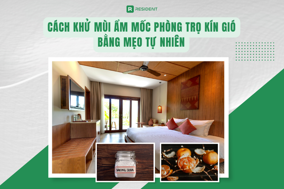 Cách khử mùi ẩm mốc phòng trọ kín gió bằng mẹo tự nhiên