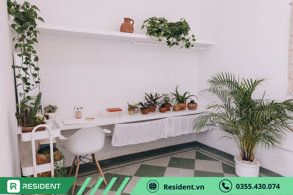 Trồng cây xanh để chống nóng phòng trọ