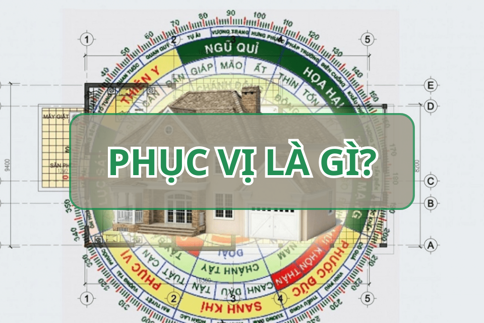 Phục vị là gì? Cách tính và xác định hướng phục vị – cung phục vị