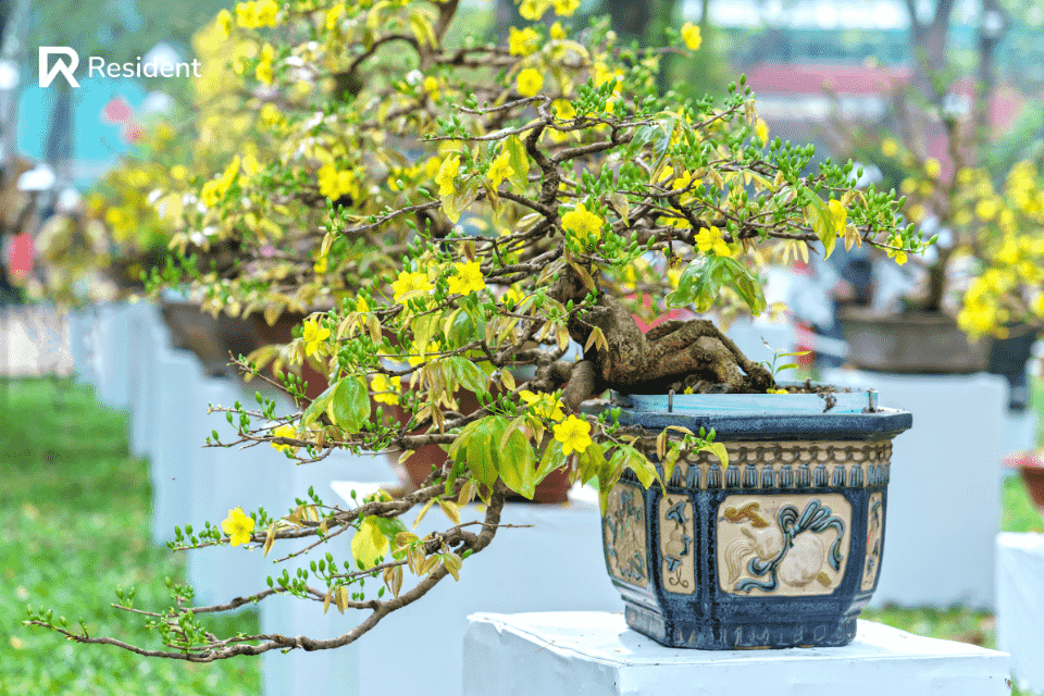 Trang trí nhà ngày Tết với hoa tươi