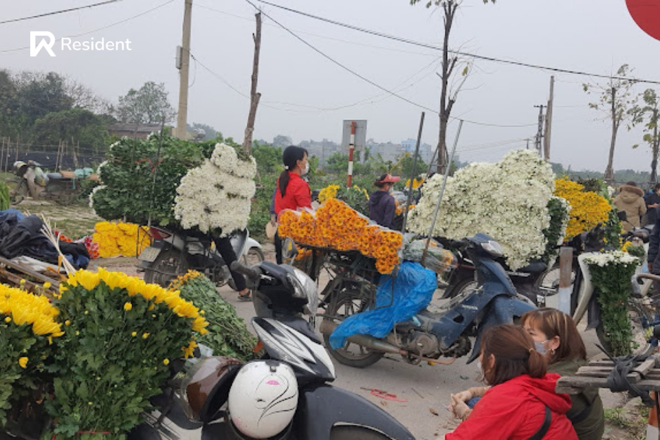 Chợ hoa Tây Tựu