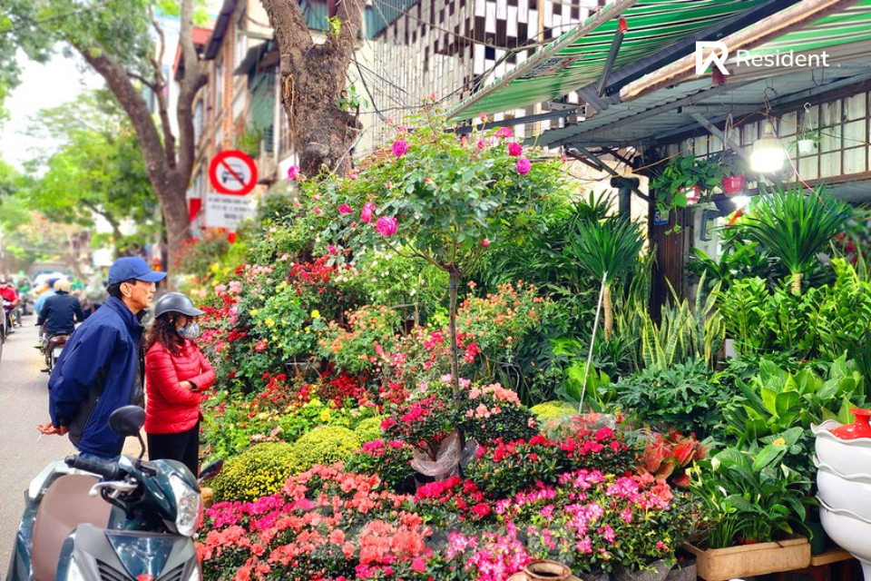 Chợ cây cảnh Hoàng Hoa Thám