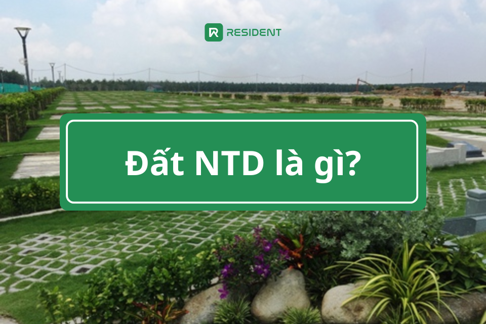 Đất NTD là gì? Quy định sử dụng đất